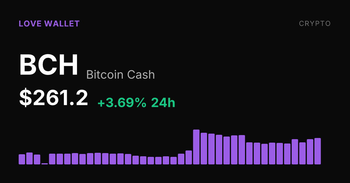 Bitcoin Cash Rises 3.69% as 30-Day Gain Reaches 21.04%