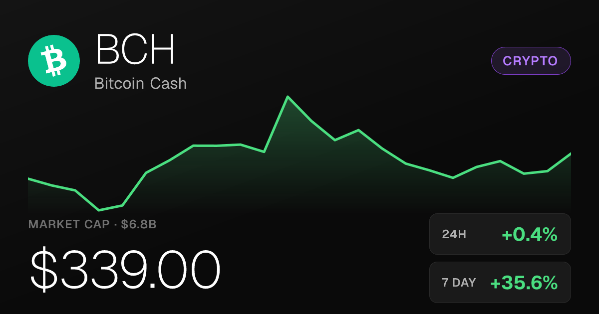 Bitcoin Cash Holds Near $339 After a 35.64% Seven-Day Surge